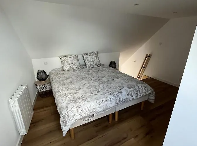 Superbe Duplex Plein Centre